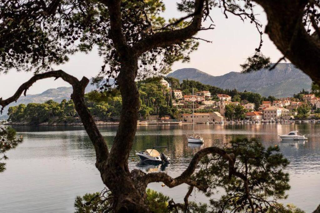 Apartment Biggy Cavtat Exterior photo